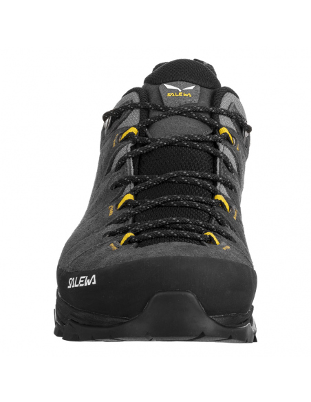 Boots - Hiking Shoes Salewa Men's Alp Trainer 2 GTX Onyx