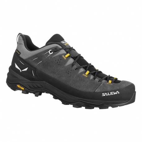 Boots - Hiking Shoes Salewa Men's Alp Trainer 2 GTX Onyx