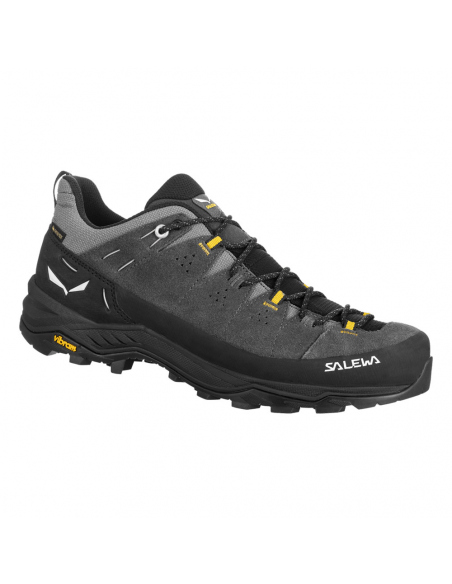 Boots - Hiking Shoes Salewa Men's Alp Trainer 2 GTX Onyx