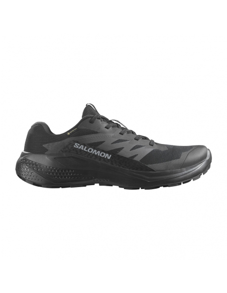 Athletic Shoes Salomon Men's Alphaglide GTX Black