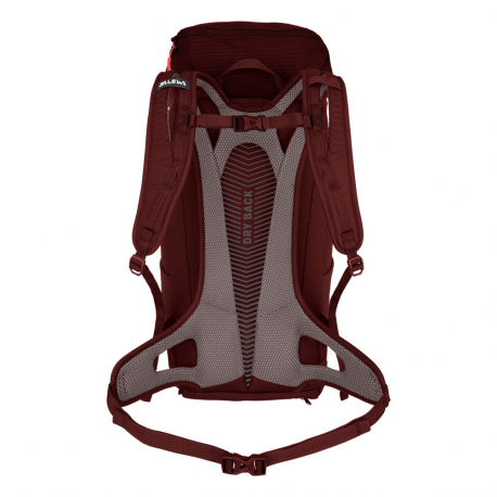 Backpacks - Travel Bags - Military Bags - Hydration Salewa Alp Mate 30L Women's Backpack