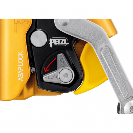 Carabiners Petzl ASAP LOCK