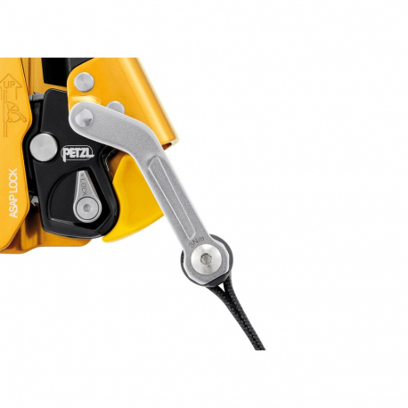 Carabiners Petzl ASAP LOCK