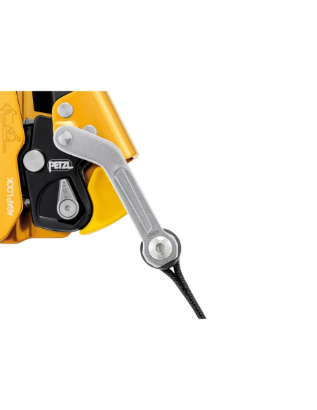 Carabiners Petzl ASAP LOCK