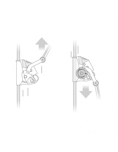 Carabiners Petzl ASAP LOCK