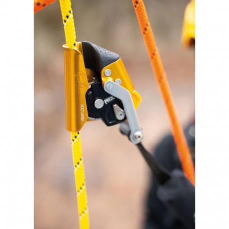 Carabiners Petzl ASAP LOCK