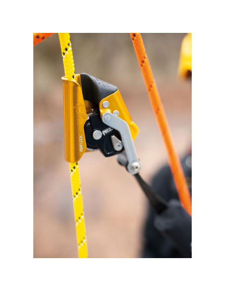 Carabiners Petzl ASAP LOCK