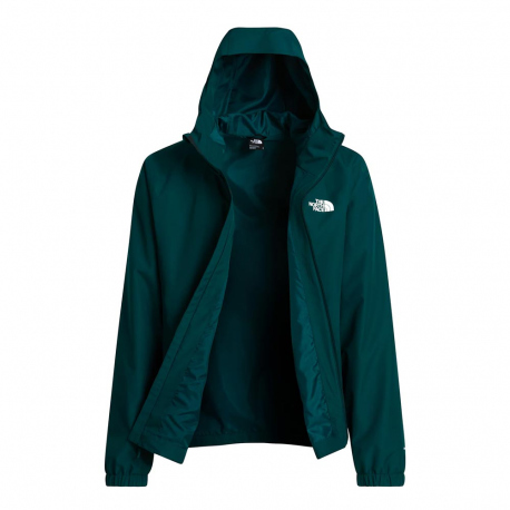 Jackets The North Face Men's Quest DryVent Jacket Teal