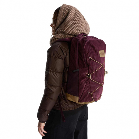 Daypacks The North Face Jester Pro 28L Deep Burgundy