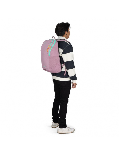 Σακίδια Πόλης Osprey Astronova 23L Backpack