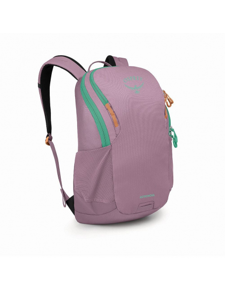 Σακίδια Πόλης Osprey Astronova 23L Backpack