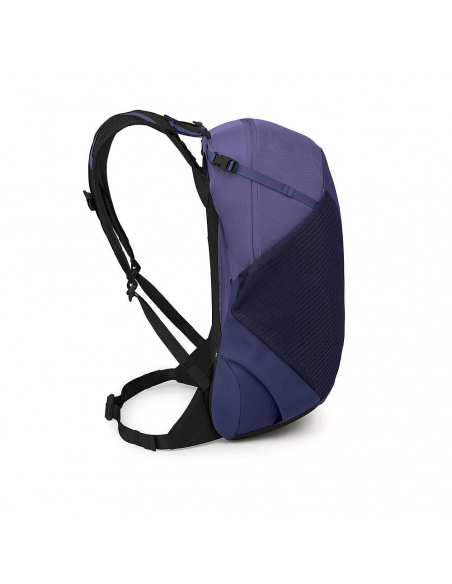 Σακίδια Ορειβατικά Osprey Hikelite LT 22