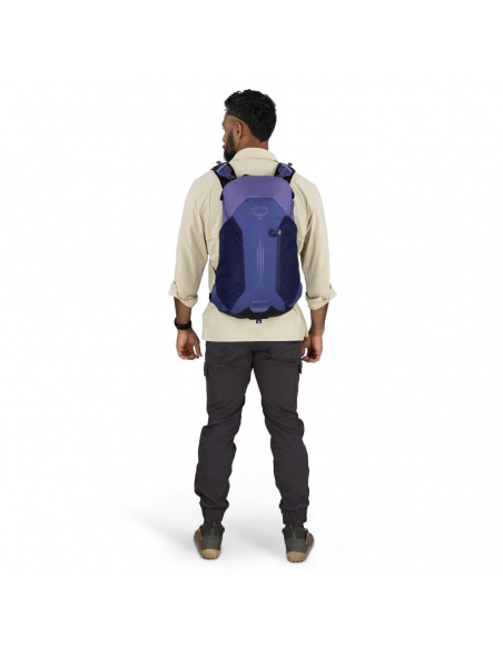 Σακίδια Ορειβατικά Osprey Hikelite LT 22 Backpack