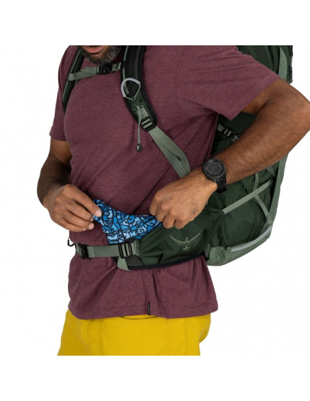 Hiking Backpacks Osprey Talon 33 Backpack Green Canopy
