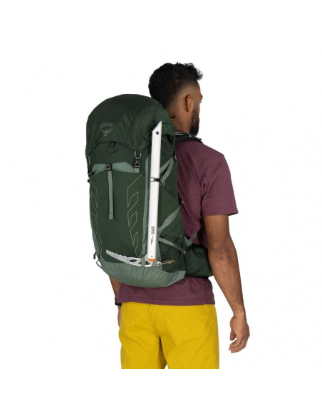 Hiking Backpacks Osprey Talon 33 Backpack Green Canopy