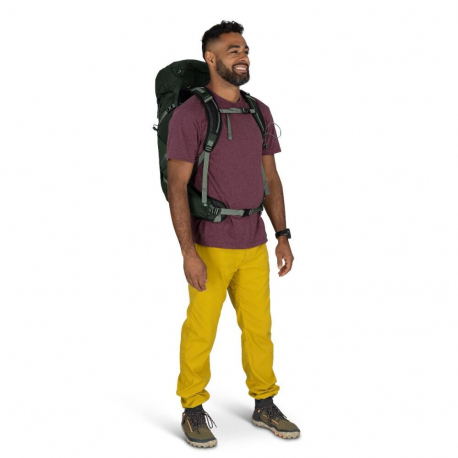 Hiking Backpacks Osprey Talon 33 Backpack Green Canopy