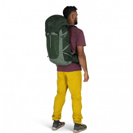 Hiking Backpacks Osprey Talon 33 Backpack Green Canopy