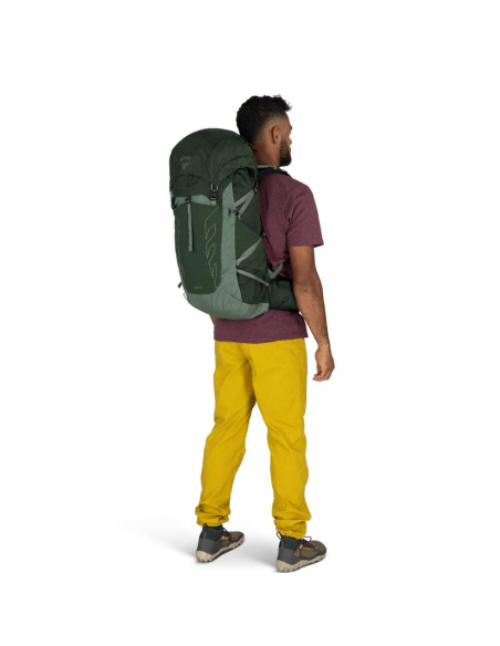 Hiking Backpacks Osprey Talon 33 Backpack Green Canopy