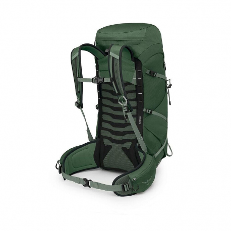 Hiking Backpacks Osprey Talon 33 Backpack Green Canopy