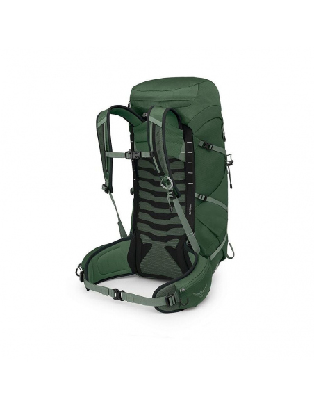 Hiking Backpacks Osprey Talon 33 Backpack Green Canopy