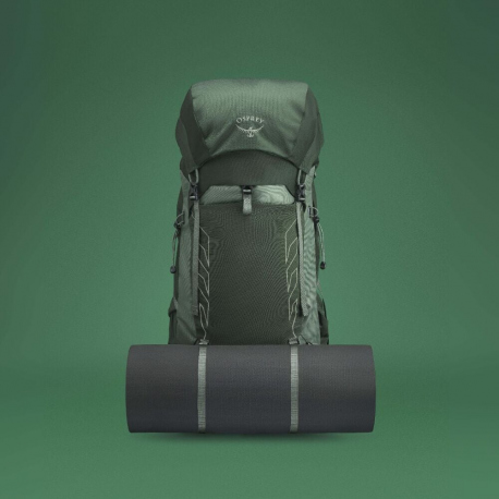 Hiking Backpacks Osprey Talon 44 Backpack Green Canopy