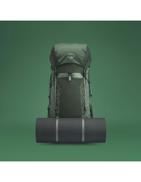 Hiking Backpacks Osprey Talon 44 Backpack Green Canopy