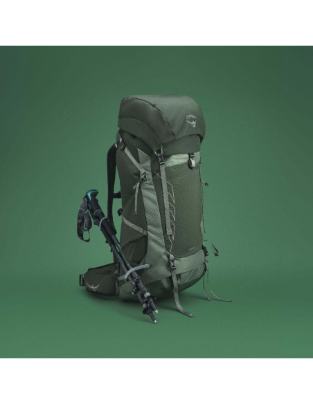 Hiking Backpacks Osprey Talon 44 Backpack Green Canopy