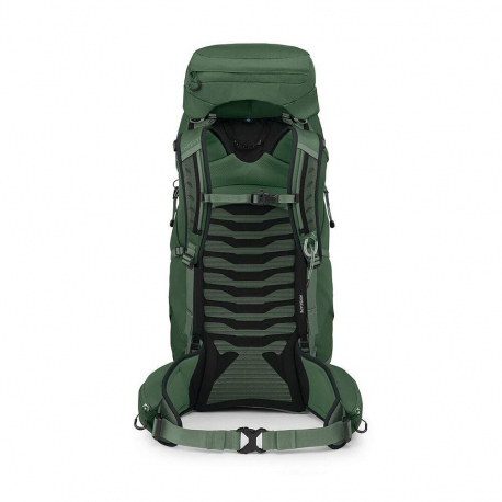 Hiking Backpacks Osprey Talon 44 Backpack Green Canopy