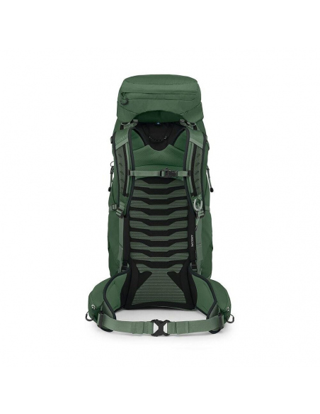 Hiking Backpacks Osprey Talon 44 Backpack Green Canopy