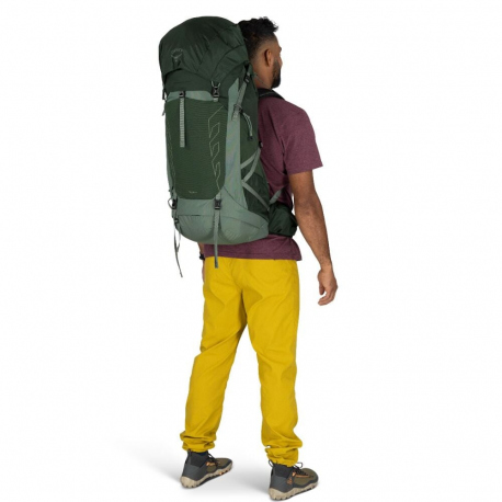 Hiking Backpacks Osprey Talon 44 Backpack Green Canopy