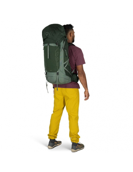 Hiking Backpacks Osprey Talon 44 Backpack Green Canopy