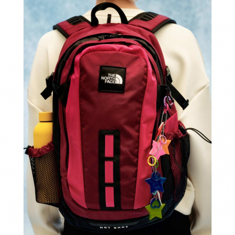 Σακίδια Πόλης The North Face Hot Shot Backpack Special Edition