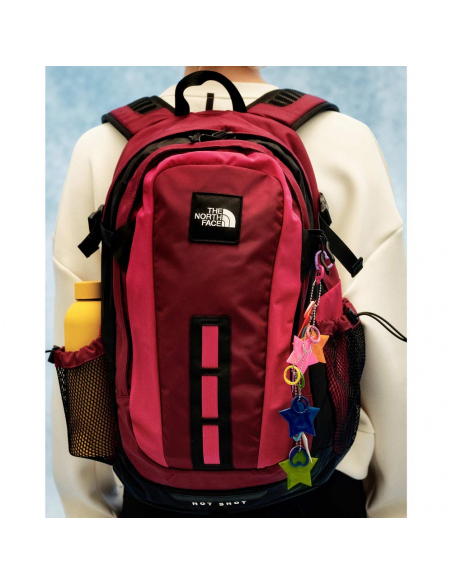 Σακίδια Πόλης The North Face Hot Shot Backpack Special Edition