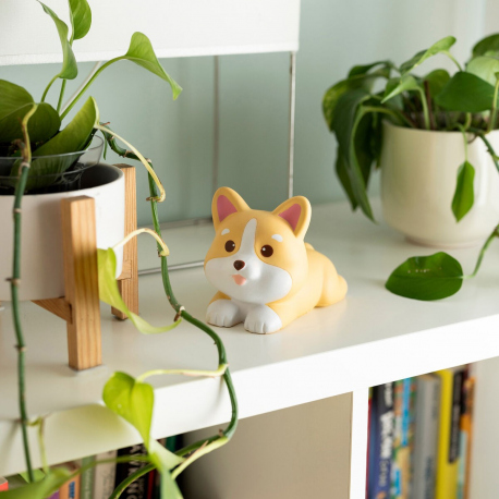 Αρχική Antistress - Corgi - Stress Less