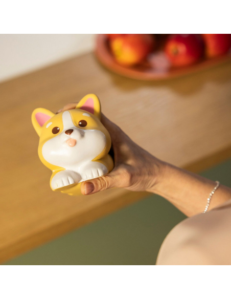 Αρχική Antistress - Corgi - Stress Less