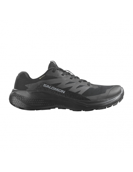 Αθλητικά Salomon Women's Alphaglide GTX Black