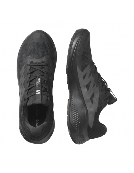 Αθλητικά Salomon Women's Alphaglide GTX Black