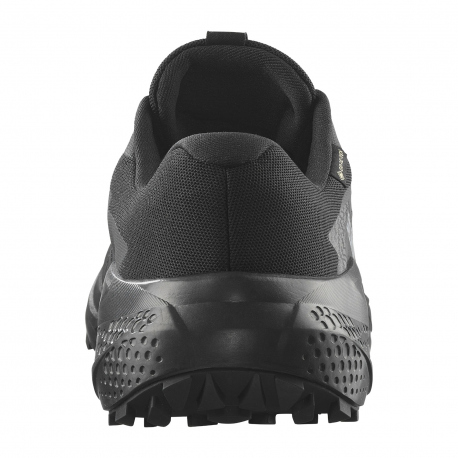 Αθλητικά Salomon Women's Alphaglide GTX Black