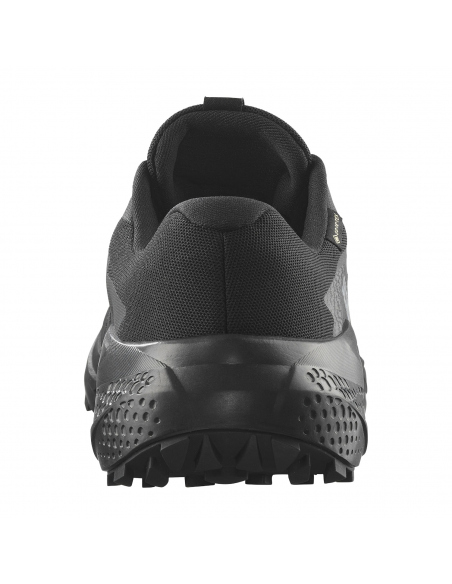 Αθλητικά Salomon Women's Alphaglide GTX Black